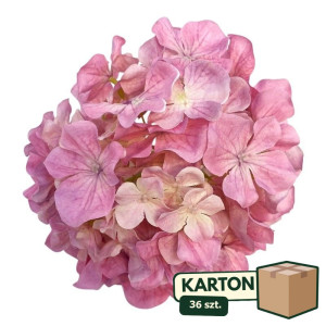 36szt główki hortensji premium szer:16cm