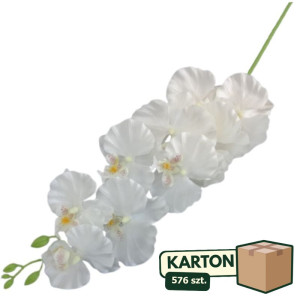 576szt storczyk satynowy '9 wys:95cm