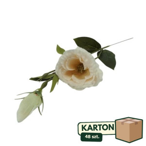 48szt eustoma z pąkiem na łodydze wys:50cm