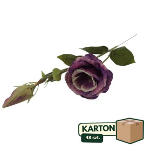 48szt eustoma z pąkiem na łodydze wys:50cm