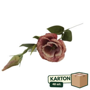 48szt eustoma z pąkiem na łodydze wys:50cm