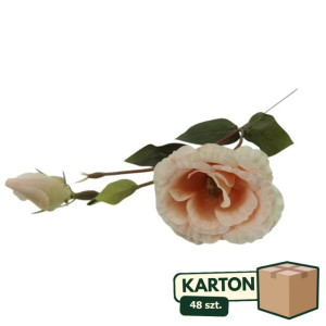 48szt eustoma z pąkiem na łodydze wys:50cm