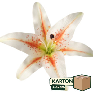 1152szt główki lilii 3d szer:21,5cm