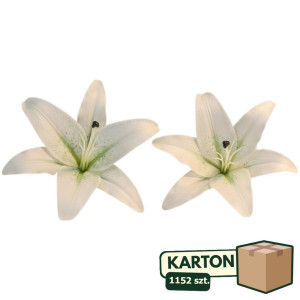 1152szt główki lilii 3d szer:21,5cm