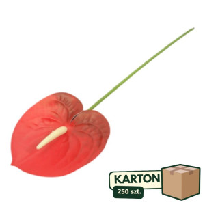 250szt anturium na łodydze wys:60cm szer:12cm