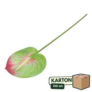 250szt anturium na łodydze wys:60cm szer:12cm