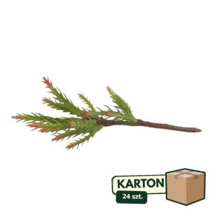24szt gałązka sukulentów wys:34cm
