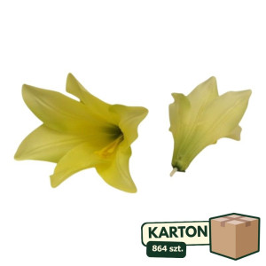 864szt główki lilii wys:16cm szer:16cm