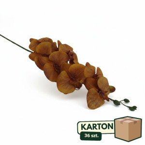 36szt storczyk wys:90cm szer:15cm