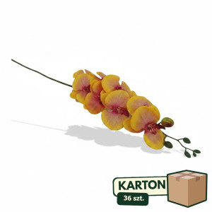 36szt storczyk wys:90cm szer:15cm