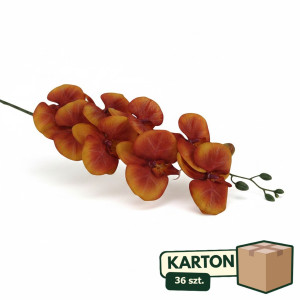 36szt storczyk wys:90cm szer:15cm
