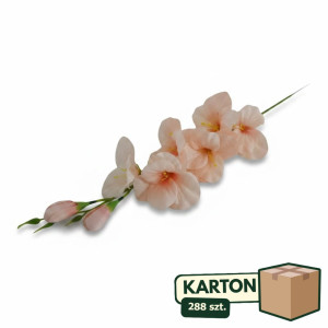 288szt mieczyki na łodydze wys:64cm