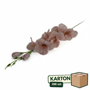 288szt mieczyki na łodydze wys:64cm