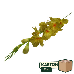 192szt mieczyki na łodydze wys:76cm