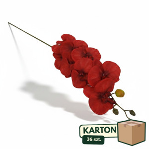 36szt storczyk wys:90cm szer:15cm
