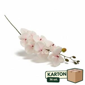36szt storczyk wys:90cm szer:15cm