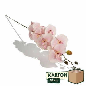 36szt storczyk wys:90cm szer:15cm
