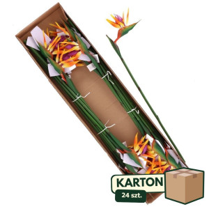 24szt strelicje gumowane wys:78cm szer:18cm