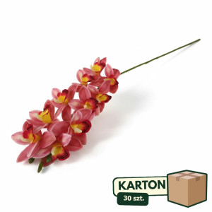 30szt storczyk cymbidium wys:78cm szer:15cm