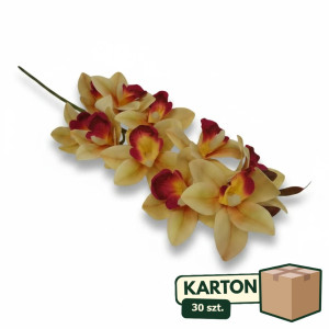 30szt storczyk cymbidium wys:78cm szer:15cm