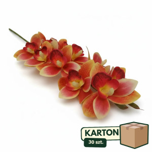 30szt storczyk cymbidium wys:78cm szer:15cm