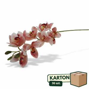 30szt storczyk cymbidium wys:78cm szer:15cm