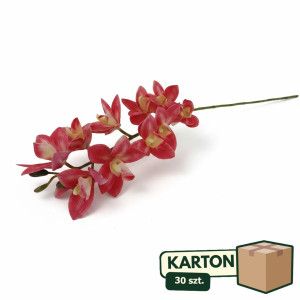 30szt storczyk cymbidium wys:78cm szer:15cm