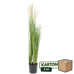 6szt trawa ozdobna w doniczce wys:70cm doniczka 10*11cm