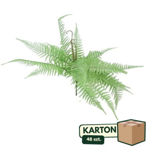48szt bukiet paproci wys:63cm