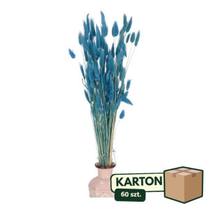 60op*50G dmuszek - lagurus wys:60-70cm