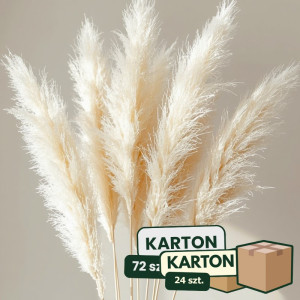 24op*3szt trawa pampasowa farbowana wys:145-150cm