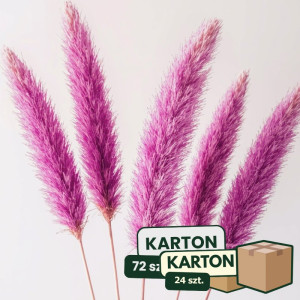 24op*3szt trawa pampasowa farbowana wys:145-150cm