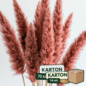 24op*3szt trawa pampasowa farbowana wys:145-150cm