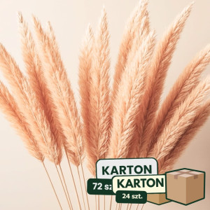 24op*3szt trawa pampasowa farbowana wys:145-150cm
