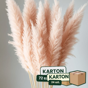 24op*3szt trawa pampasowa farbowana wys:145-150cm