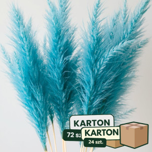 24op*3szt trawa pampasowa farbowana wys:145-150cm