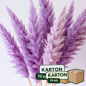 24op*3szt trawa pampasowa farbowana wys:145-150cm