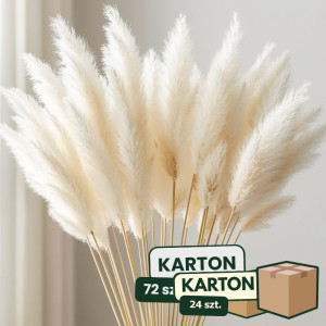 24op*3szt trawa pampasowa farbowana wys:145-150cm