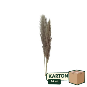 24op*3szt trawy pampasowe suszone wys:115cm