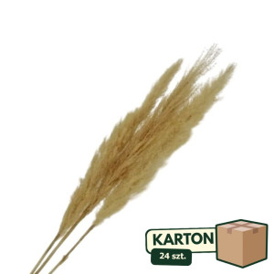 24op*3szt trawy pampasowe farbowana wys:115cm