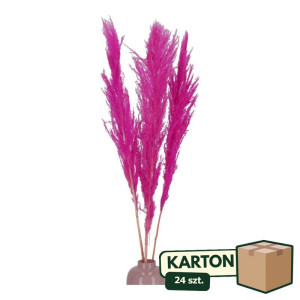 24op*3szt trawy pampasowe farbowana wys:115cm