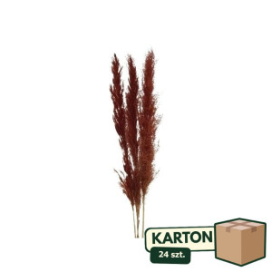 24op*3szt trawy pampasowe farbowana wys:115cm