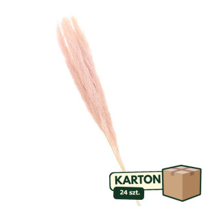 24op*3szt trawy pampasowe farbowana wys:115cm