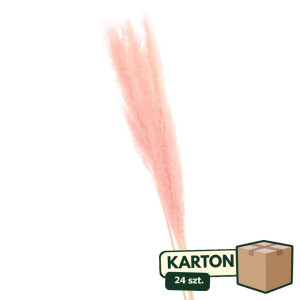 24op*3szt trawy pampasowe farbowana wys:115cm