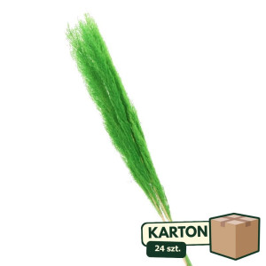 24op*3szt trawy pampasowe farbowana wys:115cm