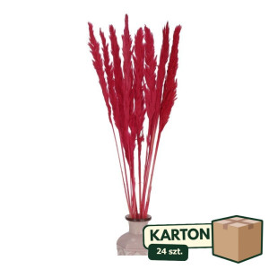 24op*10szt trawy pampasowe Jaxx wys:70-75cm
