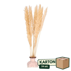 24op*10szt trawy pampasowe Jaxx wys:70-75cm