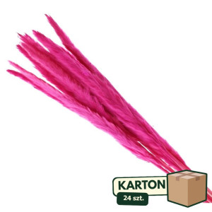 24op*10szt trawy pampasowe Jaxx wys:70-75cm
