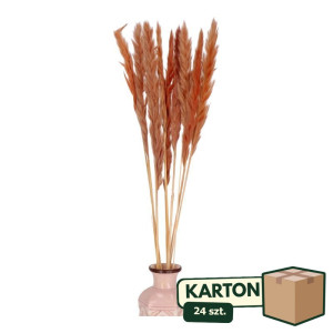 24op*10szt trawy pampasowe Jaxx wys:70-75cm