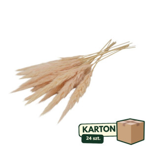 24op*10szt trawy pampasowe Jaxx wys:70-75cm
